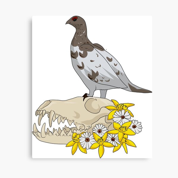 Item preview, ptarmigan and fox skull designed and sold by toxicallycat.