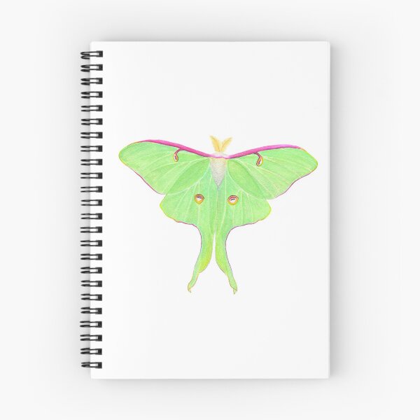 Aperçu de l'œuvre Papillon de Luna créée et vendue par ColorSplendor.