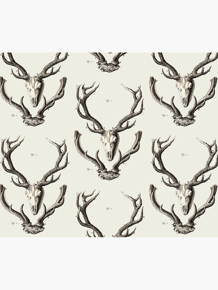 Disover Deer Antlers Shower Curtain