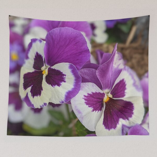 Item preview, Purple pink Pansy flowers designed and sold by SaltedFreckles.