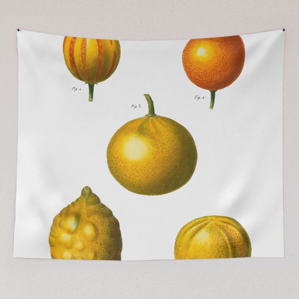 Item preview, Citrus Fruits  designed and sold by redoARTstore.