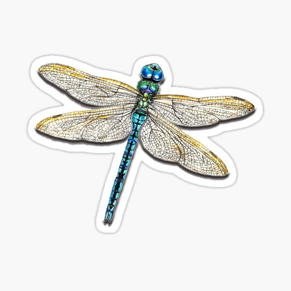 dragonfly Sticker