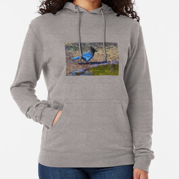 Stellar Jay Lightweight Hoodie