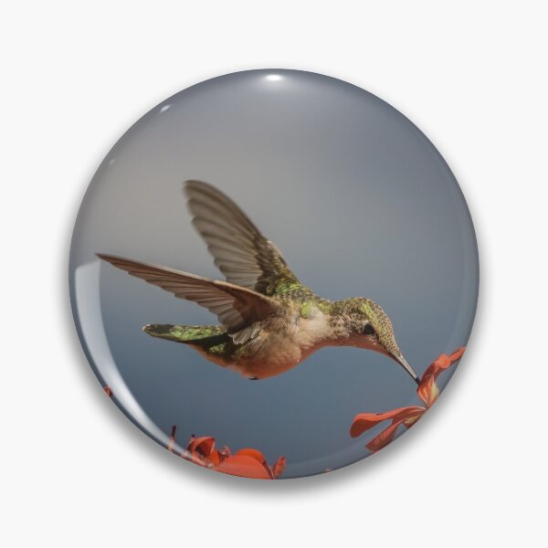 Item preview, Colibri - My Summer Visitor designed and sold by Jola Martysz.