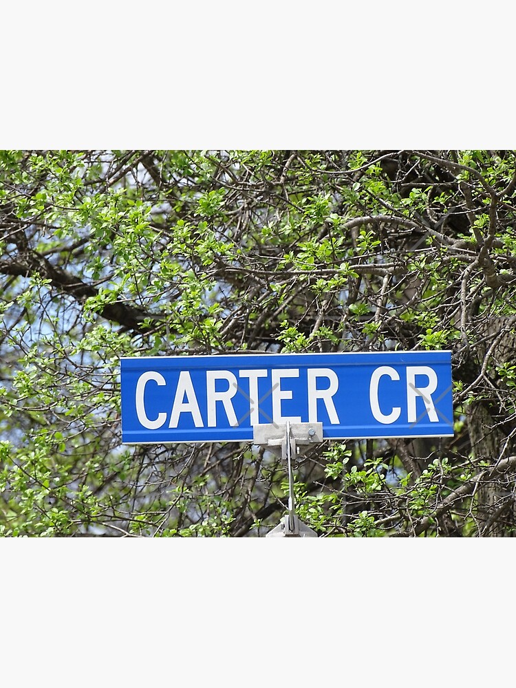 Carter, Carter sticker, Carter magnet, Carter mask, Carter greeting card by PicsByMi