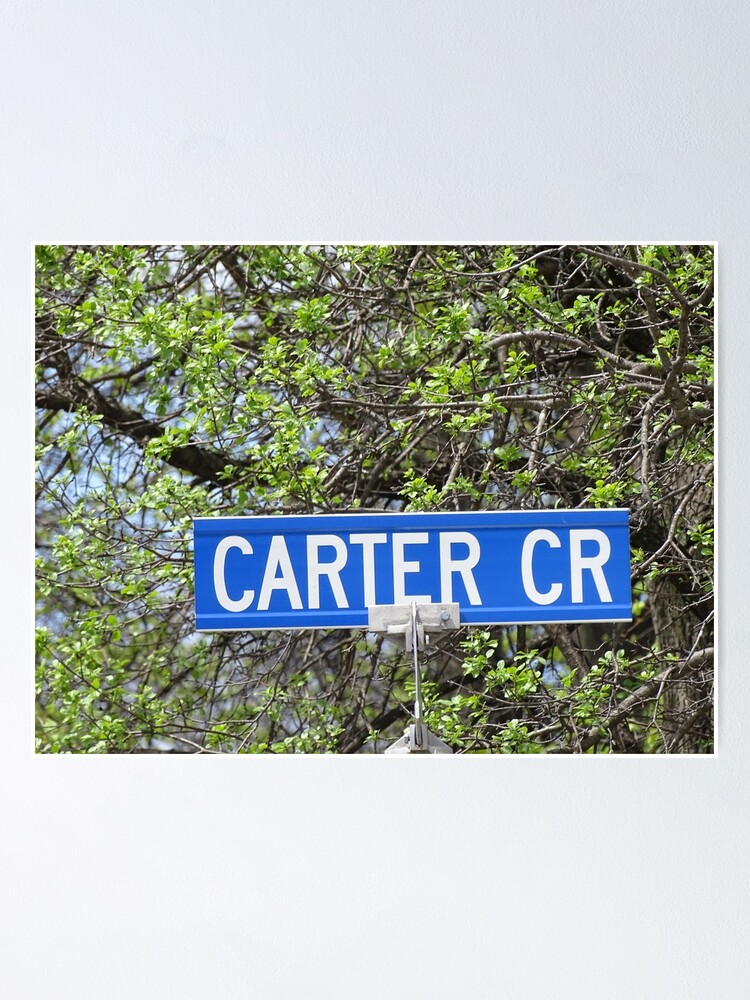 Alternate view of Carter, Carter sticker, Carter magnet, Carter mask, Carter greeting card Poster