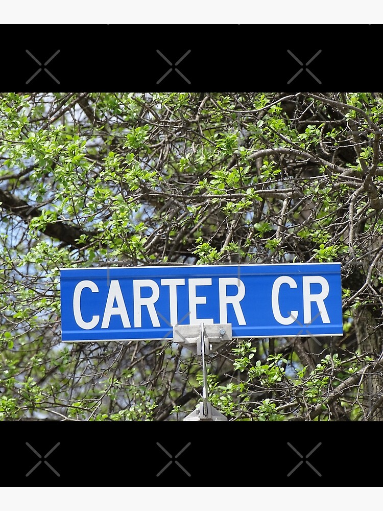 Carter, Carter sticker, Carter magnet, Carter mask, Carter greeting card by PicsByMi