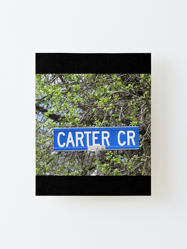 Alternate view of Carter, Carter sticker, Carter magnet, Carter mask, Carter greeting card Mounted Print