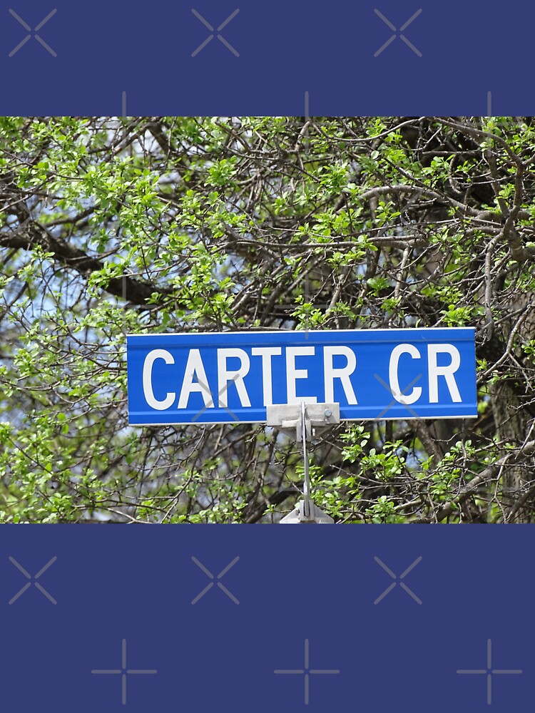 Carter, Carter sticker, Carter magnet, Carter mask, Carter greeting card by PicsByMi