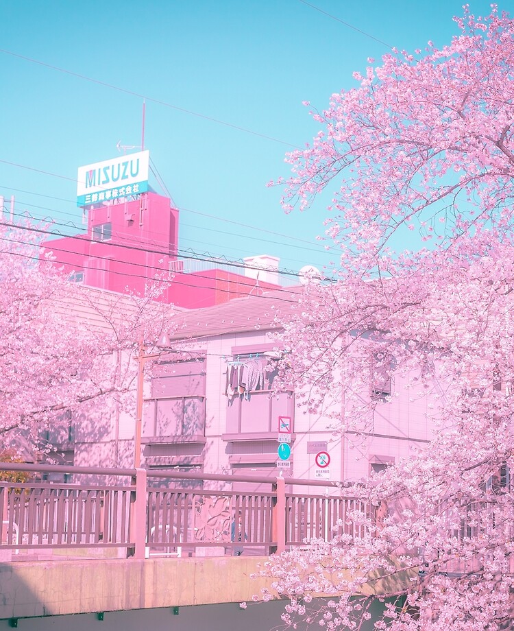 康復  Pink vibes, Pink aesthetic, Pink inspiration