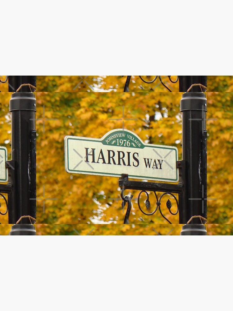Harris, Harris sticker, Harris magnet, Harris mug, Harris mask by PicsByMi