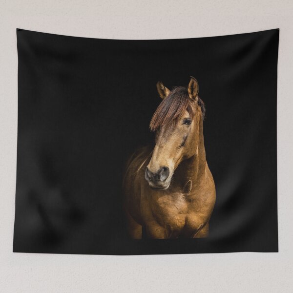 Item preview, Portrait of a golden colored Lusitano horse, with black background. designed and sold by AylaHarbich.
