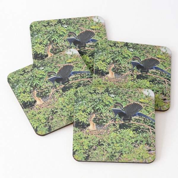 Item preview, Arguing Anhingas designed and sold by Michiale.