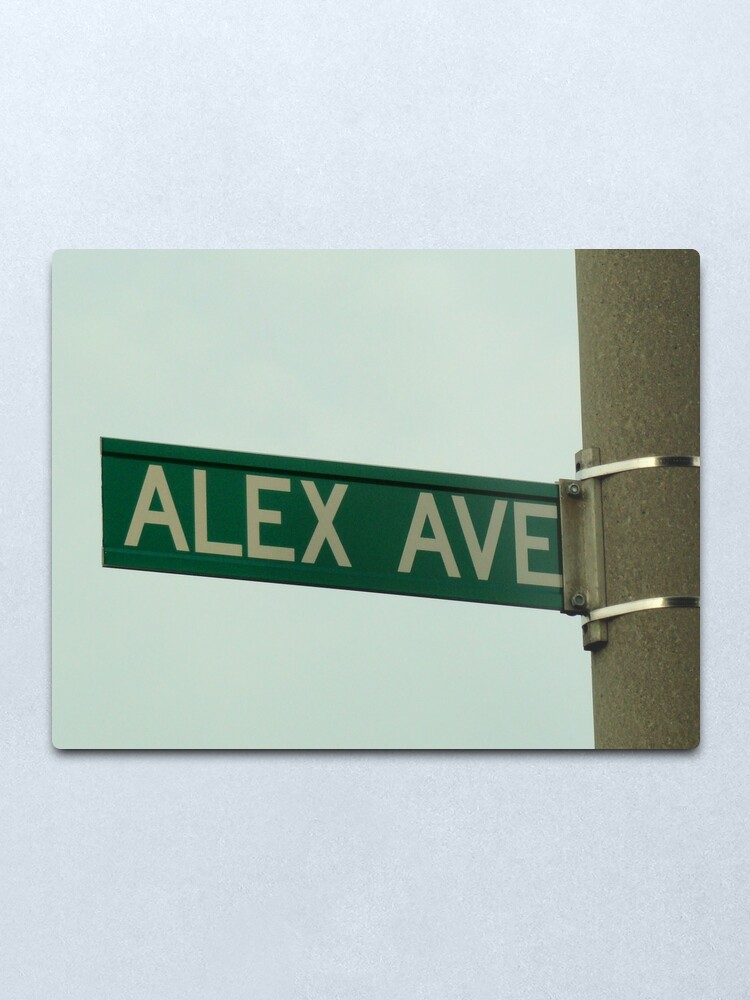 Alternate view of Alex, Alex magnet, Alex sticker, Alex mask, Alex mug Metal Print
