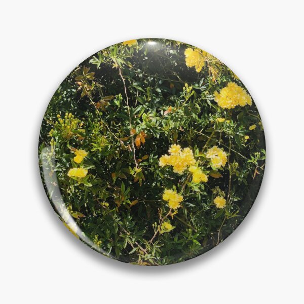 Item preview, Beautiful Yellow Climbing Rose Vines designed and sold by Pique-Interest.