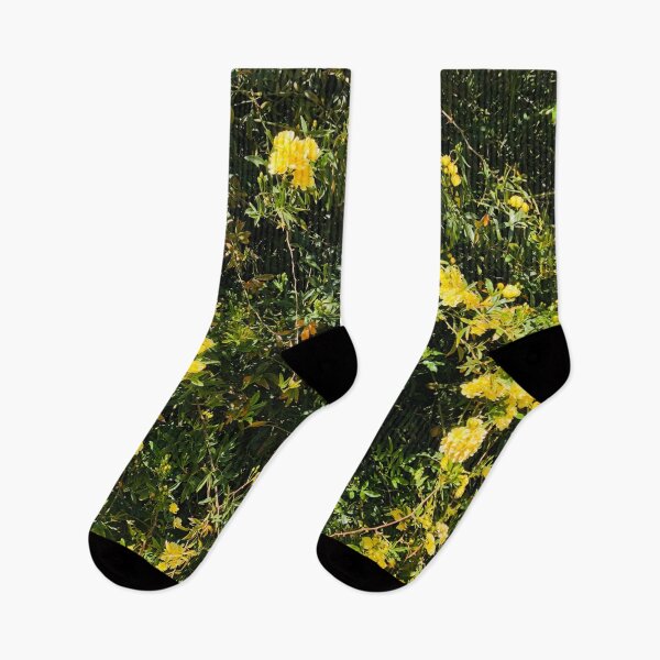 Item preview, Beautiful Yellow Climbing Rose Vines designed and sold by Pique-Interest.