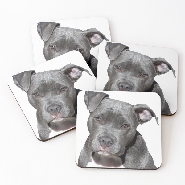 Item preview, American Pitbull Terrier head designed and sold by PET-SHIRTS.