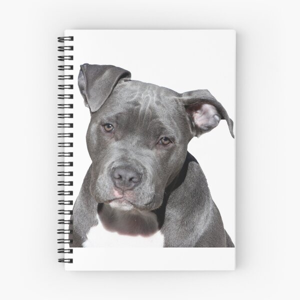 Item preview, American Pitbull Terrier head designed and sold by PET-SHIRTS.