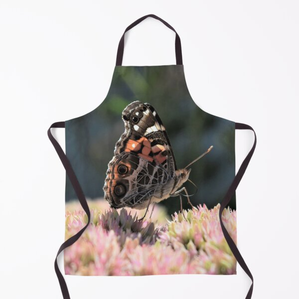 Item preview, Painted Lady designed and sold by DonnaM.