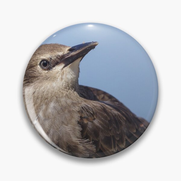 Item preview, Cute little seaside bird with lots of attitude! designed and sold by rosiebeeston.