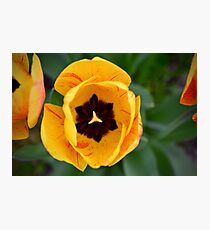 flower people Photographic Print