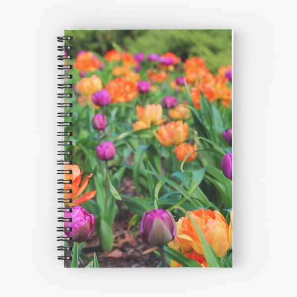 Item preview, Colorful Tulip Display designed and sold by Carolyn  Fletcher.