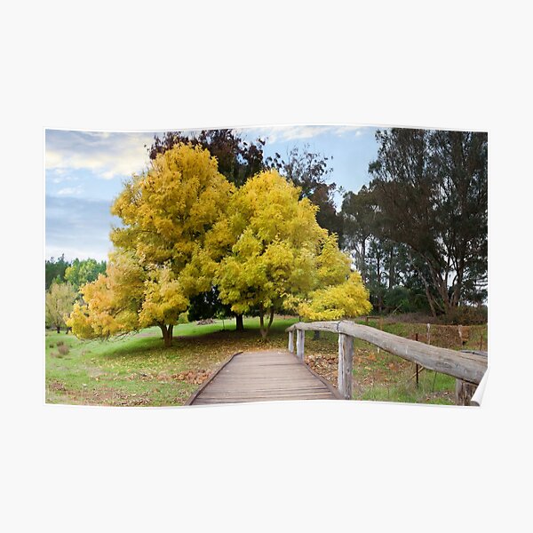 Golden Valley Tree Park Poster