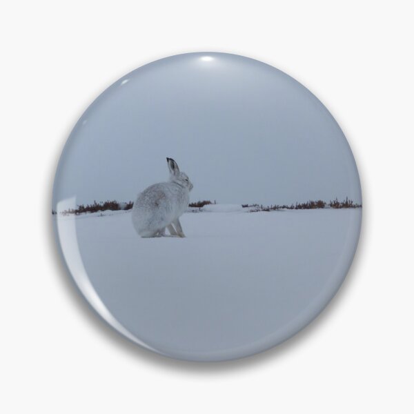Artikelvorschau, Schneehasen entworfen und verkauft von chanonry.