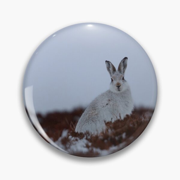 Artikelvorschau, Kopie der Schneehasen entworfen und verkauft von chanonry.