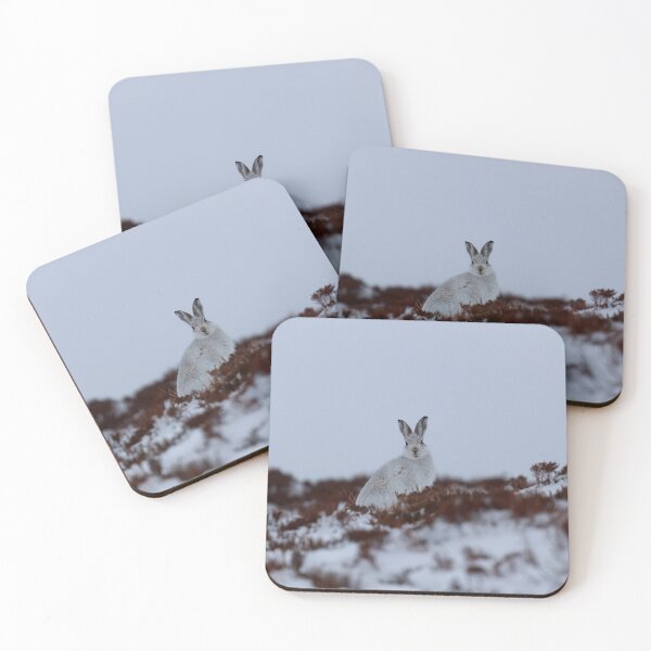 Item preview, Copy of Mountain hares designed and sold by chanonry.