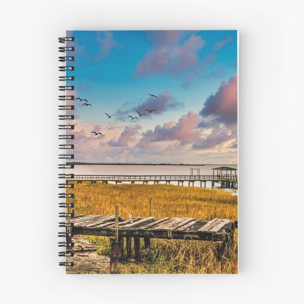 Item preview, Broken PIers in Marsh designed and sold by dbvirago.
