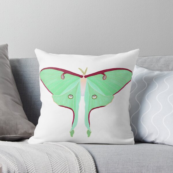Aperçu de l'œuvre Luna Moth créée et vendue par brieflucidity.