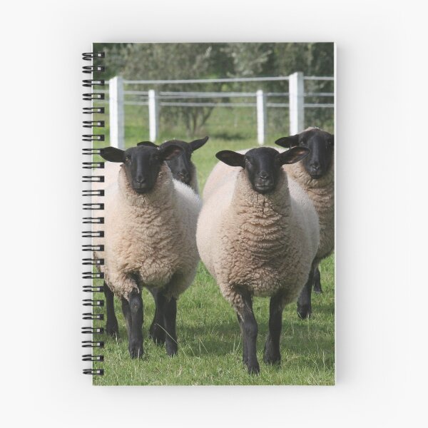 Item preview, Curious Ewes designed and sold by Jenny Brice.