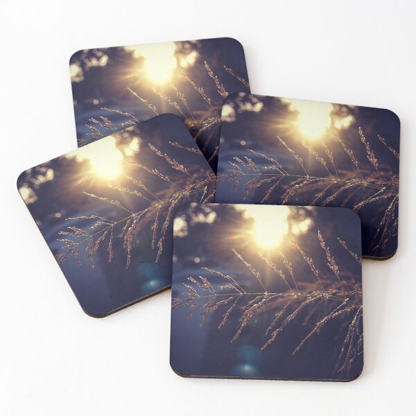 Item preview, Sunset lights the grass from A Gardener's Notebook designed and sold by Douglas E. Welch Design and Photography.