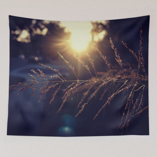 Item preview, Sunset lights the grass from A Gardener's Notebook designed and sold by Douglas E. Welch Design and Photography.