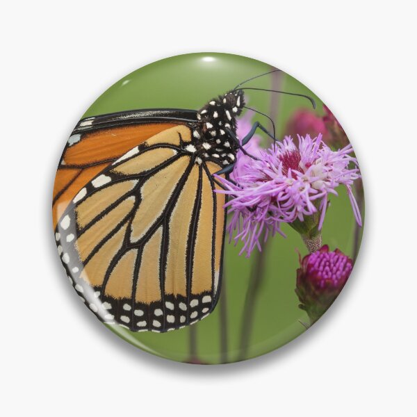 Item preview, Fall Monarch 2016-16 designed and sold by Thomasyoung.