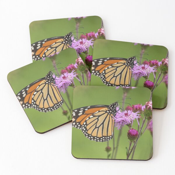 Item preview, Fall Monarch 2016-16 designed and sold by Thomasyoung.