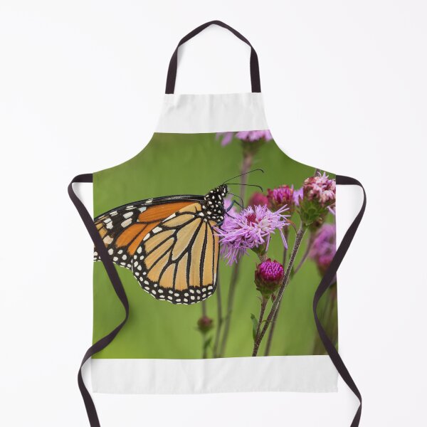 Item preview, Fall Monarch 2016-16 designed and sold by Thomasyoung.