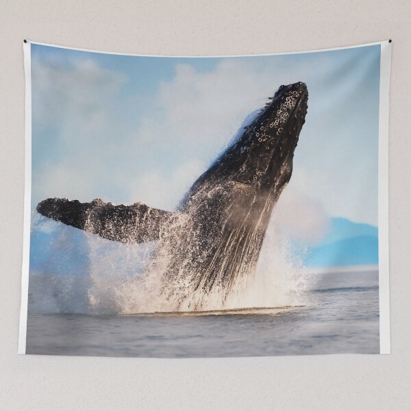 Item preview, Reach - Whale Art designed and sold by Jordan Blackstone.