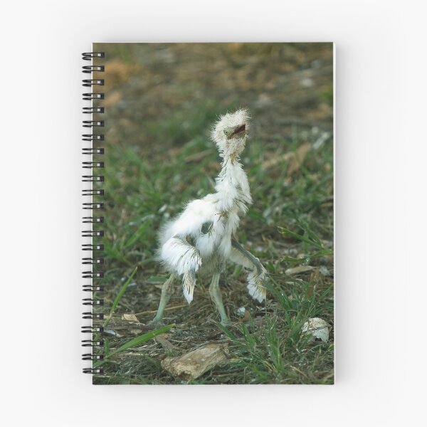 Item preview, Mum!!?? designed and sold by Peter Doré.
