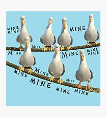 Mine! Seagulls from Finding Nemo Photographic Print