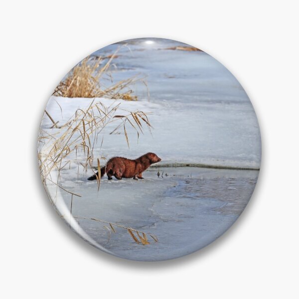 Item preview, Winter Mink designed and sold by Deb Oppermann.