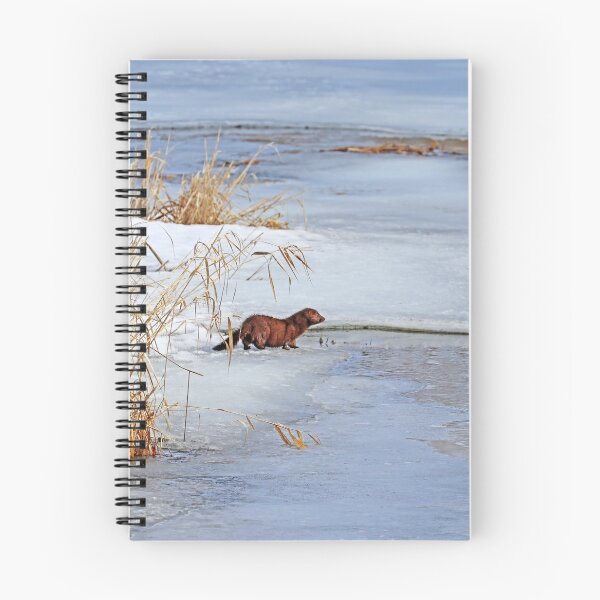 Item preview, Winter Mink designed and sold by Deb Oppermann.