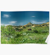 Theodore Roosevelt National Park Poster