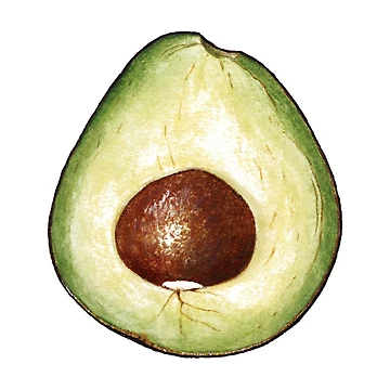 Artwork thumbnail, Avocado by TheTimeMachine