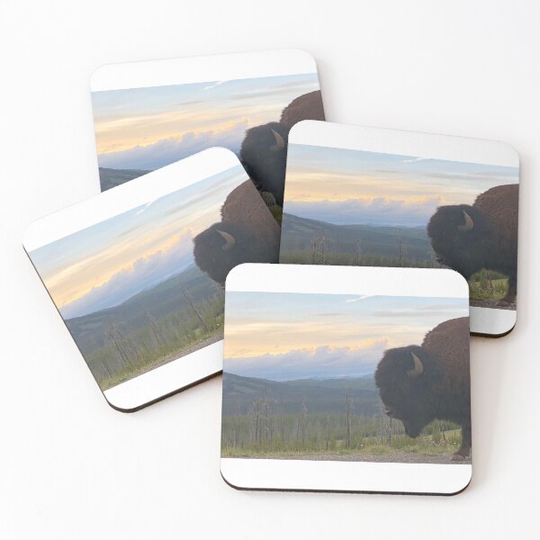 Item preview, Bison Sky designed and sold by ECHMoseley.
