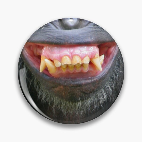 Item preview, Shimmy Chimp Smile designed and sold by miTeless seDign.