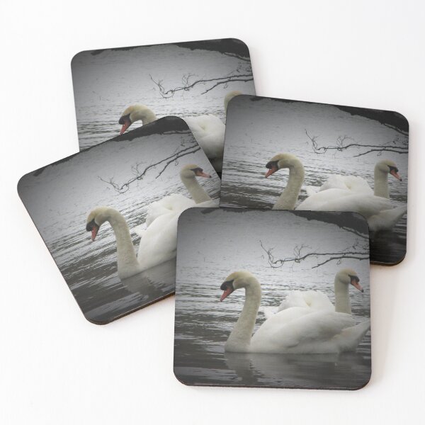 Item preview, Swans at the Stackpole fish ponds, Pembrokeshire, Wales. designed and sold by Image-in-that.