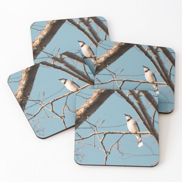 Item preview, bird on branch designed and sold by sarelitay.