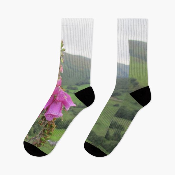 Item preview, Dew covered pink purple foxgloves in the Welsh countryside designed and sold by Image-in-that.
